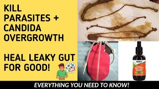 How to Get Rid of PARASITES  Candida Overgrowth  Natural Gut Cleanse [upl. by Marou]