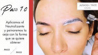 Especial tinte de cejas paso a paso tutorial – Thuya Professional [upl. by Clova]