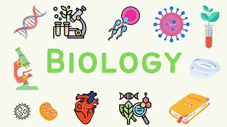 5 A Level Biology  Infectious Diseases 🦠 [upl. by Ryhpez156]