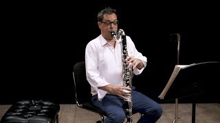 Instrument Bass Clarinet In Depth [upl. by Nylaras]