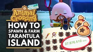 Animal Crossing New Horizons  How to Spawn amp Farm TARANTULA Island for Easy Bells [upl. by Wiles]