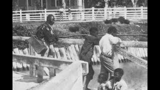 Rare Vintage Photos of Slavery in Antebellum South Carolina From the 1850s1860s [upl. by Nanyk]