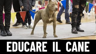 LEZIONE 6 Come avere un Cane Educato [upl. by Notsnorb]