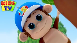 Animal Habitat Song  Junior Squad  Nursery Rhymes for Babies  Kids TV [upl. by Marven]