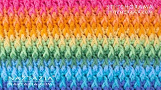 HOW to CROCHET ALPINE STITCH  Stitchorama by Naztazia [upl. by Dulce631]