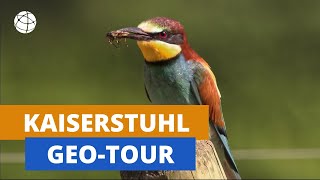 Der Kaiserstuhl  GeoTour  Planet Schule [upl. by Madelle219]