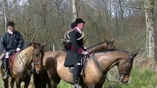 Chasse à courre au sanglier par Le Vautrait de la Vallée Brune 2016 HD [upl. by Saffren816]