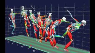 Biomechanical analysis [upl. by Ydnac]