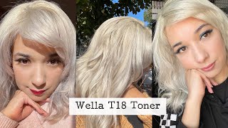 Toning hair with Wella T18 [upl. by Niltiac846]