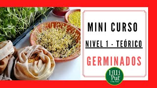 🌾CÓMO HACER GERMINADOS en casa 👉 Curso básico TEÓRICO [upl. by Anma]