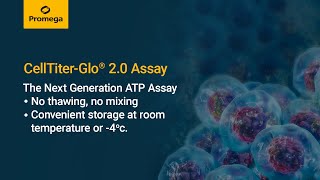 CellTiter Glo® 2 0 Cell Viability Assay [upl. by Canale379]