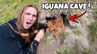 RESCUING FROZEN IGUANAS FROM UNDERGROUND CAVES [upl. by Dixil]