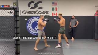 Sean Strickland sparring Johnny Walker [upl. by Ziwot]