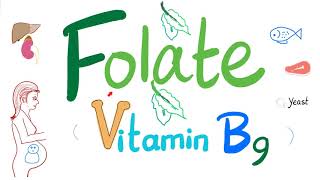 Vitamin B9 Folate 🥬  Folic  Structure Function Folate Deficiency Anemia Diagnosis amp Treatment [upl. by Conger453]