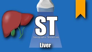 Liver Ultrasound Protocol [upl. by Rad363]