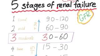 Mnemonic the 5 Stages of chronic kidney disease based on GFR [upl. by Leicester]