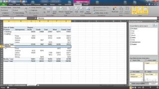 Multiple Headings in a Pivot Table  2010 Excel Pivot Tables [upl. by Evslin339]