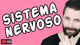 SISTEMA NERVOSO  FISIOLOGIA  Aula  Biologia com Samuel Cunha [upl. by Pazia]