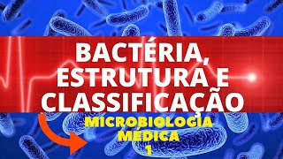 BACTÉRIA ESTRUTURA E CLASSIFICAÇÃO  MICROBIOLOGIA MÉDICA 1 [upl. by Silvio]