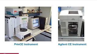 Kapillarelektrophorese Capillary Electrophoresis [upl. by Parlin233]