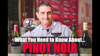 Everything You Need to Know About Pinot Noir [upl. by Ludovico]