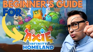 AXIE INFINITY HOMELAND TUTORIAL FOR BEGINNERS [upl. by Poland195]