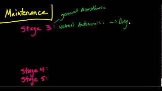 The Stages of Anesthesia The Basics Guedels Classificaiton [upl. by Chrisoula]