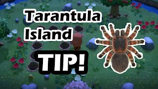 Tarantula Island TIP Animal Crossing New Horizons [upl. by Okemak]