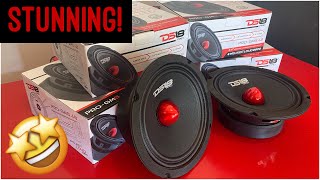 WOW DS18 ProGm 65” door speaker review midbass midrange [upl. by Nelie]