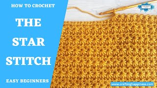 How To Crochet The Star Stitch  Crafting Happiness [upl. by Erl]