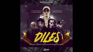 Diles Remix [upl. by Herbie]