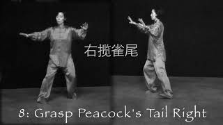 Yang Style Taichi 24 Forms for Beginners by Master Yijiao Hong [upl. by Nitsuj295]