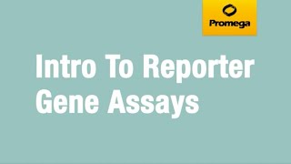 Introduction to Reporter Gene Assays [upl. by Vasiliu]