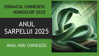 2025  Anul Sarpelui de Lemn  HOROSCOPUS [upl. by Lambart228]