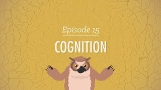 Cognition  How Your Mind Can Amaze and Betray You Crash Course Psychology 15 [upl. by Giovanna]