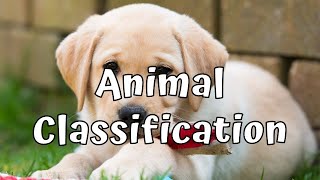 Animal Classification Grade 08 Science 02nd Lesson English Medium [upl. by Mcclenon]