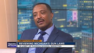 What to know about Michigans Gun Laws [upl. by Muriel]