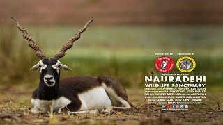 NAURADEHI WILDLIFE SANCTUARY  A Documentary Film [upl. by Nady]