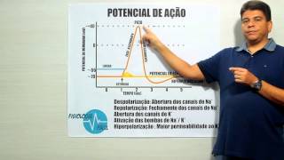 Potencial de Ação  Fisiologia Fácil [upl. by Nivlac]