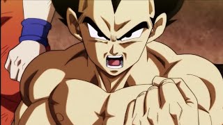 VEGETA HABLA SOBRE LOS SAIYAJIN A VERMOUTHLATINO [upl. by Oiramej]