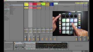 PreSonus ATOM and Ableton Live Knobs [upl. by Tace]