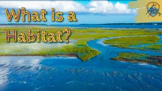 What Is A Habitat  Educational Videos for Kids [upl. by Bonucci]