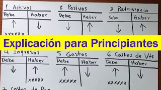 Manejo básico de CUENTAS T Contabilidad básica [upl. by Sheela]