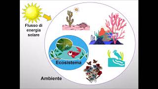 Lecosistema  scuola primaria [upl. by Herring]