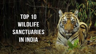 These 10 Wildlife Sanctuaries In India Are A Must Visit [upl. by Yztim145]