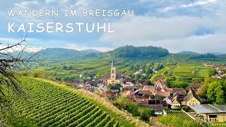 Kaiserstuhl  Wandern im Breisgau  große 20km Runde [upl. by Laband]