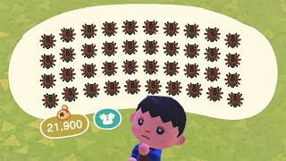 Animal Crossing New Horizons  How to get lots of Tarantulas [upl. by Ahsirek]