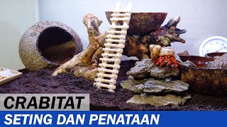 Cara Membuat Crabitat Sederhana untuk Kelomang Coenobita perlatus  DIY  Crabpedia [upl. by Ilsel]