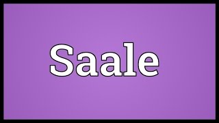 Saale Meaning [upl. by Hsekar]