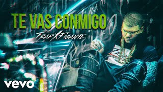 Farruko  Te Vas Conmigo Audio [upl. by Ecnatsnoc44]